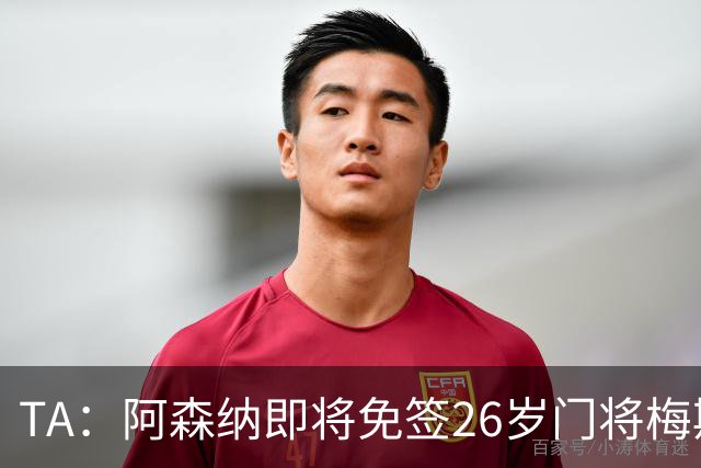 TA：阿森纳即将免签26岁门将梅斯利耶，曾效力利兹联7个赛季